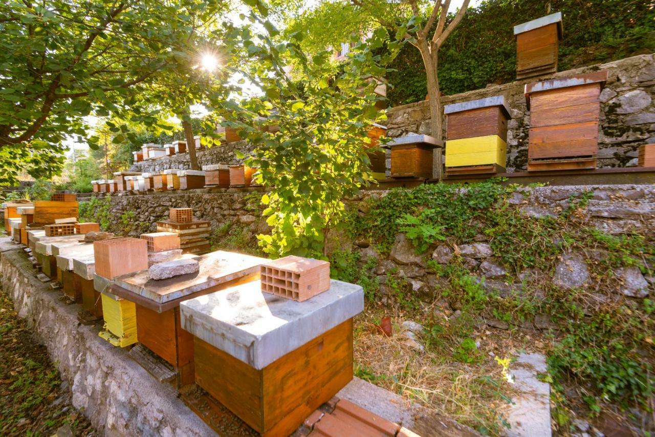 Honey Farm House Virpazar Buitenkant foto