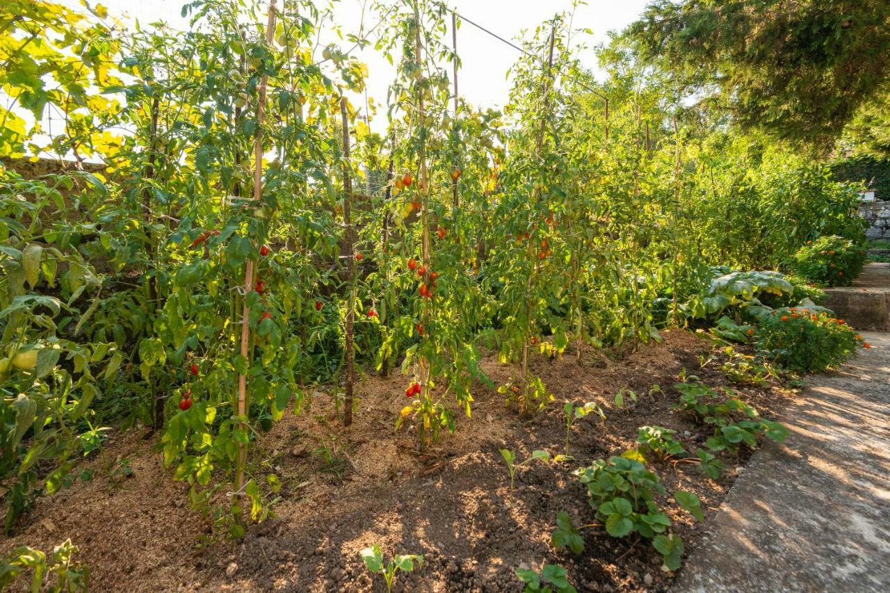 Honey Farm House Virpazar Buitenkant foto